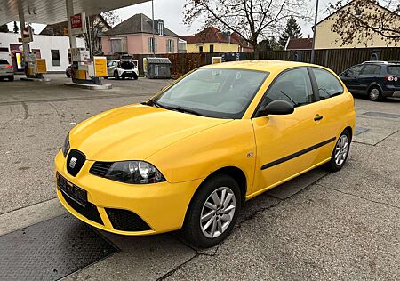 Seat Ibiza Amaro 8-fach bereift ALU