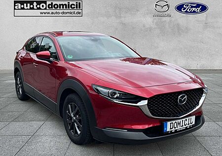 Mazda CX-30 Selection 360° Kamera Bose Automatik
