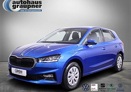Skoda Fabia 1.0 TSI Selection KLIMA PDC SHZ LED