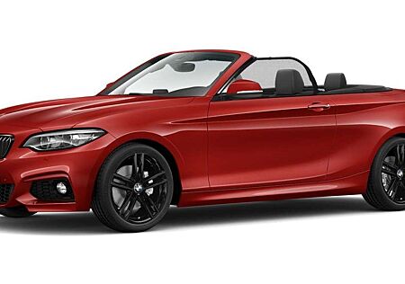 BMW 220 iA Cabrio M Sport Navi.ACC.RFK.Keyl.PDC.HiFi.