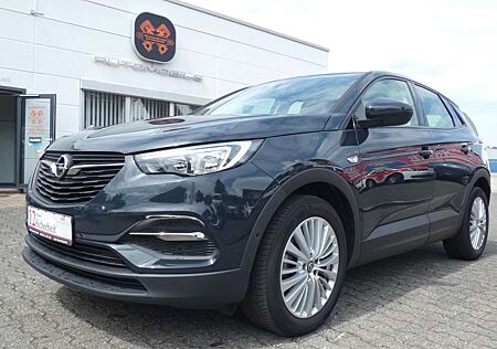Opel Grandland X Edition Automatik *NAVI*ALU*PDC*