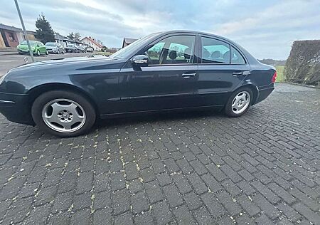 Mercedes-Benz E 240 E-Klasse Elegance