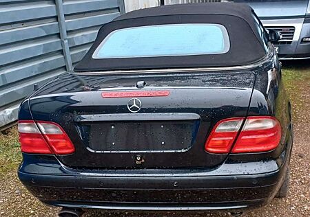 Mercedes-Benz CLK 430 CLK Cabrio 430 Avantgarde