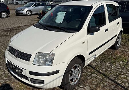 Fiat Panda 1.2 Dynamic *1 Jahr TÜV*
