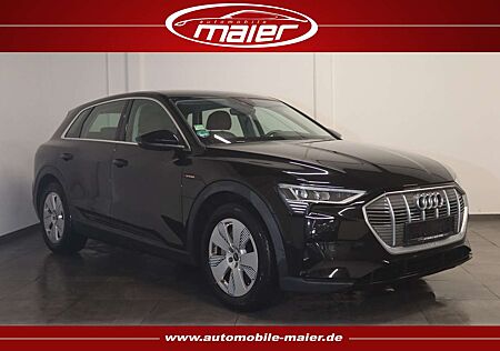 Audi e-tron 55 qu.-Virt.-Luft-Navi-Kamera-LED-HUD-