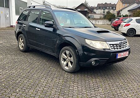 Subaru Forester Active