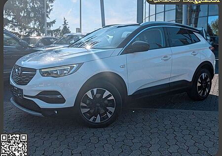 Opel Grandland X Grandland(X) Innovation Temp. RFK. Navi. CarPlay