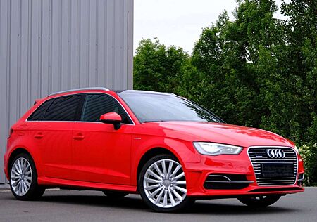 Audi A3 1.4 TFSI e-tron Ambition/Aut./Pano/Leder