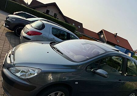 Peugeot 307 110 Grand Filou