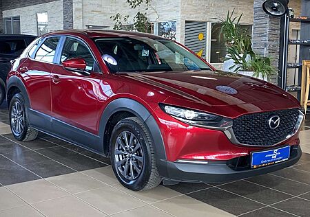 Mazda CX-30 Active Info ACC HUD Navi LED PDC DAB Klima