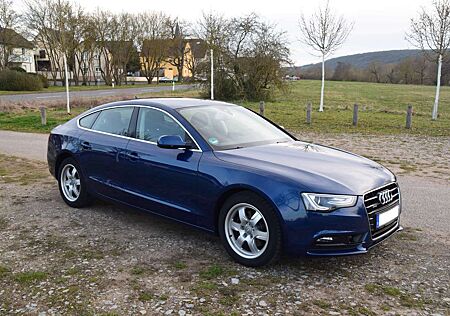 Audi A5 2.0 TDI Sportback (clean die.) quat. DPF S tro.