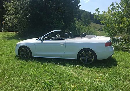 Audi A5 Cabrio Diesel Cabrio 2.0 TDI DPF