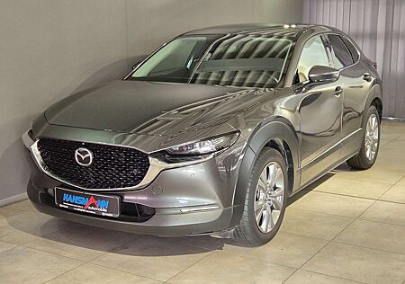 Mazda CX-30 Selection G-150/6AT/Design-P./Prem.-P./Navi/Head-U