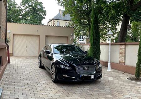 Jaguar XJ 3.0 V6 Kompressor AWD Langversion Portfolio