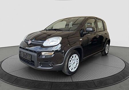 Fiat Panda Pandina Cross 1.0 Klima PDC Citypaket