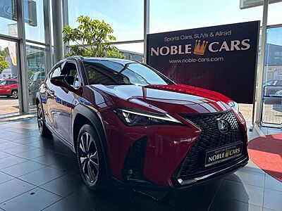 Lexus Others 250 h F Sport HUD LED NAV RFK SHZ ALU