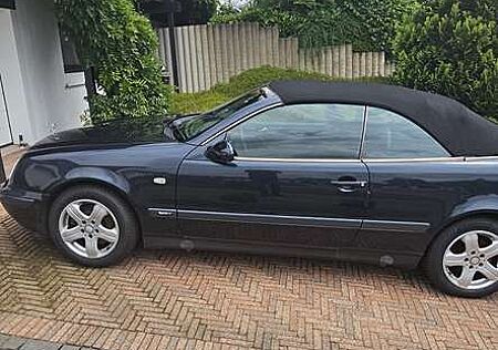 Mercedes-Benz CLK 230 Cabrio Kompressor Sport