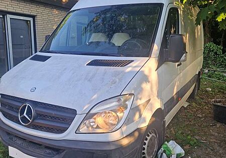 Mercedes-Benz Sprinter 316 CNG Erdgas
