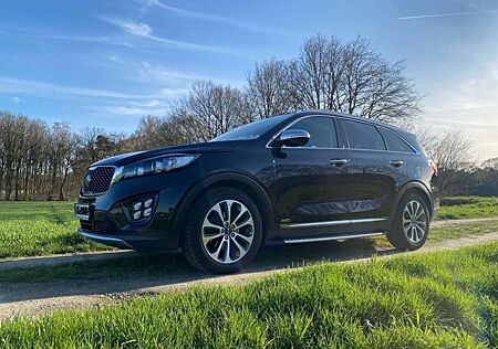 Kia Sorento 2.2 CRDi AWD Aut. Platinum Edition