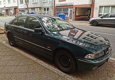 BMW 523i 523