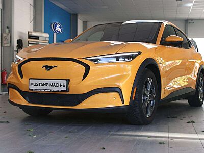 Ford Mustang Mach-E 198 kW | Basis | 75 kWh | Panoramadach