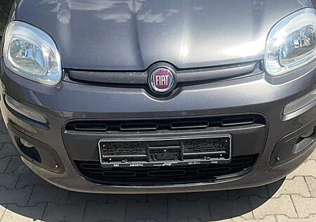 Fiat New Panda