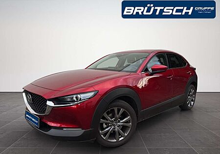 Mazda CX-30 Selection 2.0 2WD LEDER / E-SITZE / BOSE / MATRIX