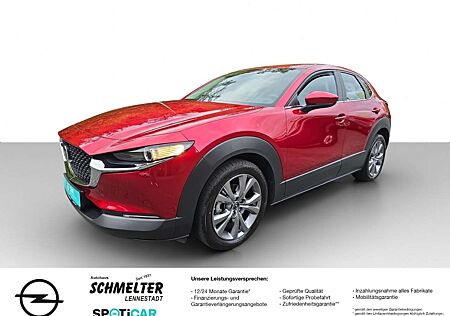 Mazda CX-30 Skyactiv-G 2WD 2.0 M Hybrid Kamera Ahk