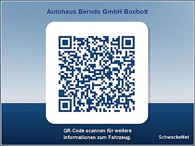 Renault Master Blue dCi 170 L2H2 VA Aut. Extra HOLZBODEN R-KAM