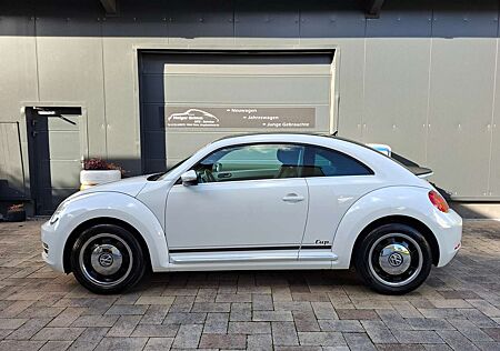 VW Beetle gebraucht kaufen VW Beetle Volkswagen Cup Scheckheftgepfl/8-fach ber/Sitzheiz/Insp neu