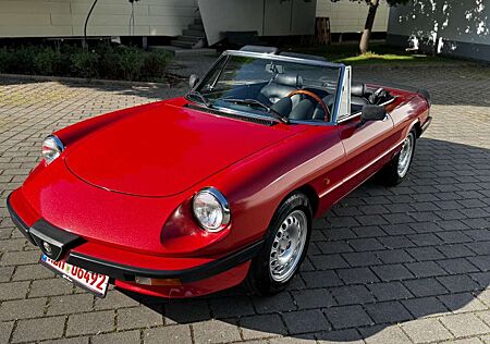 Alfa Romeo Spider Ital.Sehnsucht Alfa 3*Bella Macchina*TOP*