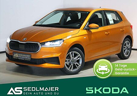 Skoda Fabia 1.0 MPI Tour Kamera|SHZ|APPs|DAB|LED|Temp