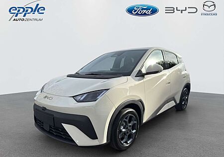 BYD DOLPHIN SURF Comfort