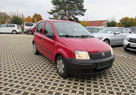 Fiat Panda gebraucht kaufen Fiat Panda 1.1 8V Active