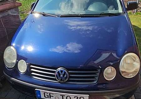VW Polo Volkswagen 1.2, Klimaanlage, Allwetterreifen, angemeldet