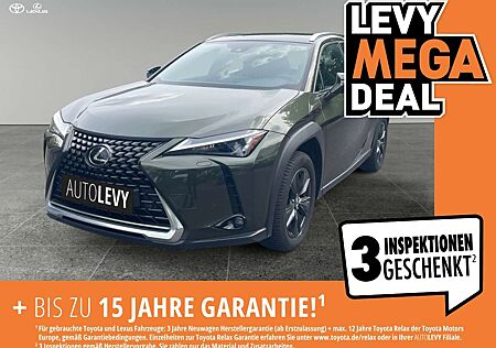 Lexus UX 250h Hybrid Executive *AA*CARPLAY*NAVI*LEDER*