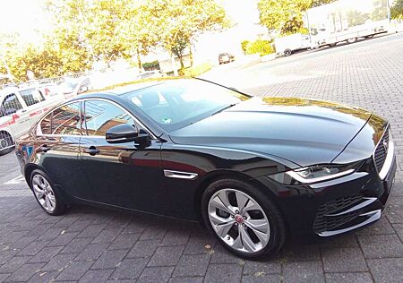 Jaguar XE P 250 S Autom Leder el Sitze Scheckheft