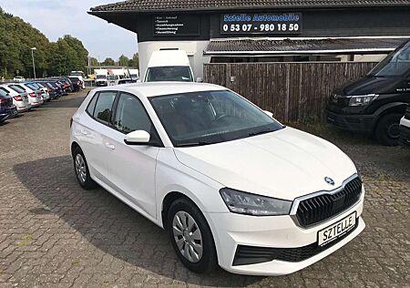 Skoda Fabia gebraucht kaufen Skoda Fabia 1.0 Active *LPG-UMBAU*