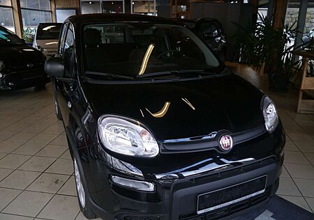 Fiat Panda Base Tageszulassung