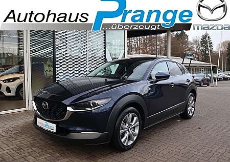 Mazda CX-30 M-Hybrid G-122 AT Selection DES-P MATRIX NAVI ACAA