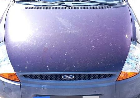 Ford Ka /+ 1