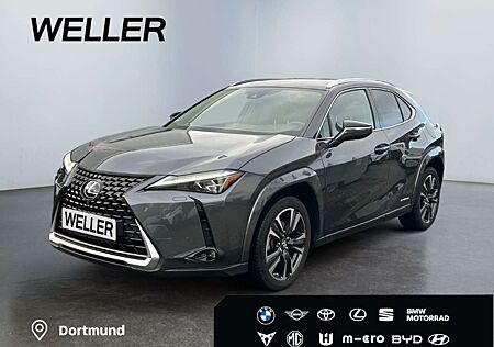 Lexus UX 250h (E-FOUR) Luxury Line*Matrix*360°*SHZ*PDC*