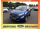 Ford EcoSport Titanium Navi Kamera Winter-Paket PDC