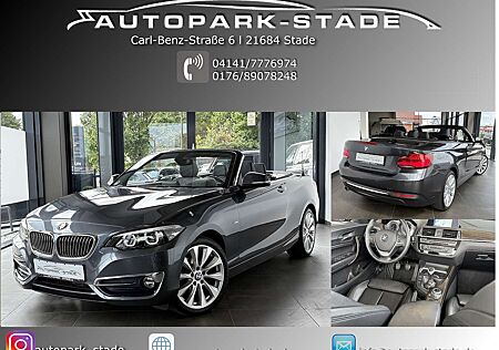BMW 218i 218 Cabrio Luxury Line LED PDC Navi Leder