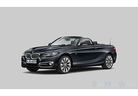 BMW 218i 218 Cabrio Luxury Line LED PDC Navi Leder