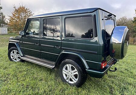 Mercedes-Benz G 350 BlueTec (463.3) Standheizung