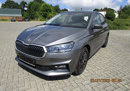 Skoda Fabia 1.0 TSI Selection