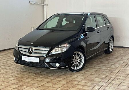 Mercedes-Benz B 200 Sitzhzg Pano Leder PDC ACC EDITION