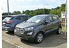 Ford EcoSport Cool&Connect 100PS_WintPaket_Metallic_