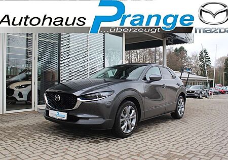 Mazda CX-30 M-Hybrid G-140 AT Takumi Allwetter Leder el.Sitz 3